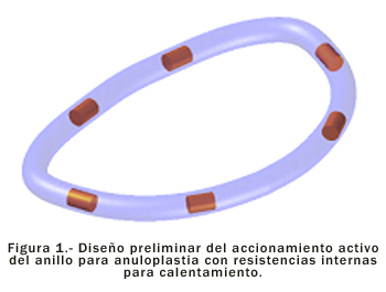 Corazon2